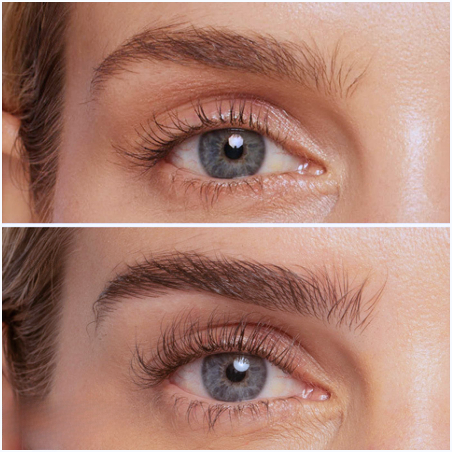 Sérum de Croissance des Sourcils | Lyra®